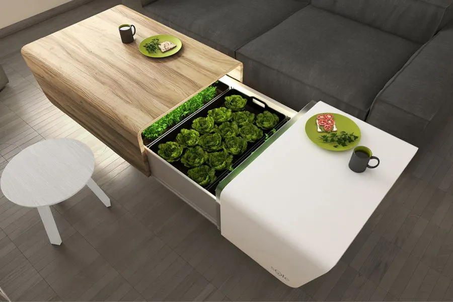 Multi-functional Furniture